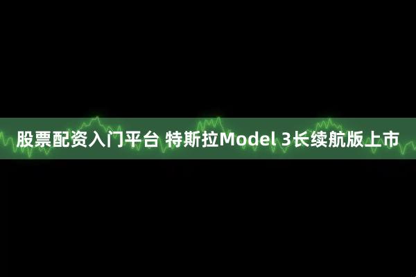 股票配资入门平台 特斯拉Model 3长续航版上市