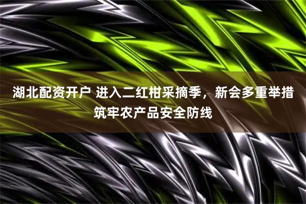 湖北配资开户 进入二红柑采摘季，新会多重举措筑牢农产品安全防线
