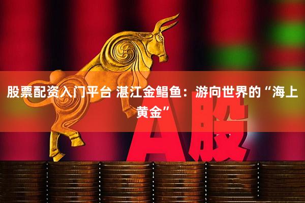 股票配资入门平台 湛江金鲳鱼：游向世界的“海上黄金”