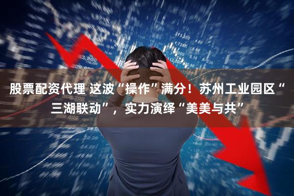 股票配资代理 这波“操作”满分！苏州工业园区“三湖联动”，实力演绎“美美与共”